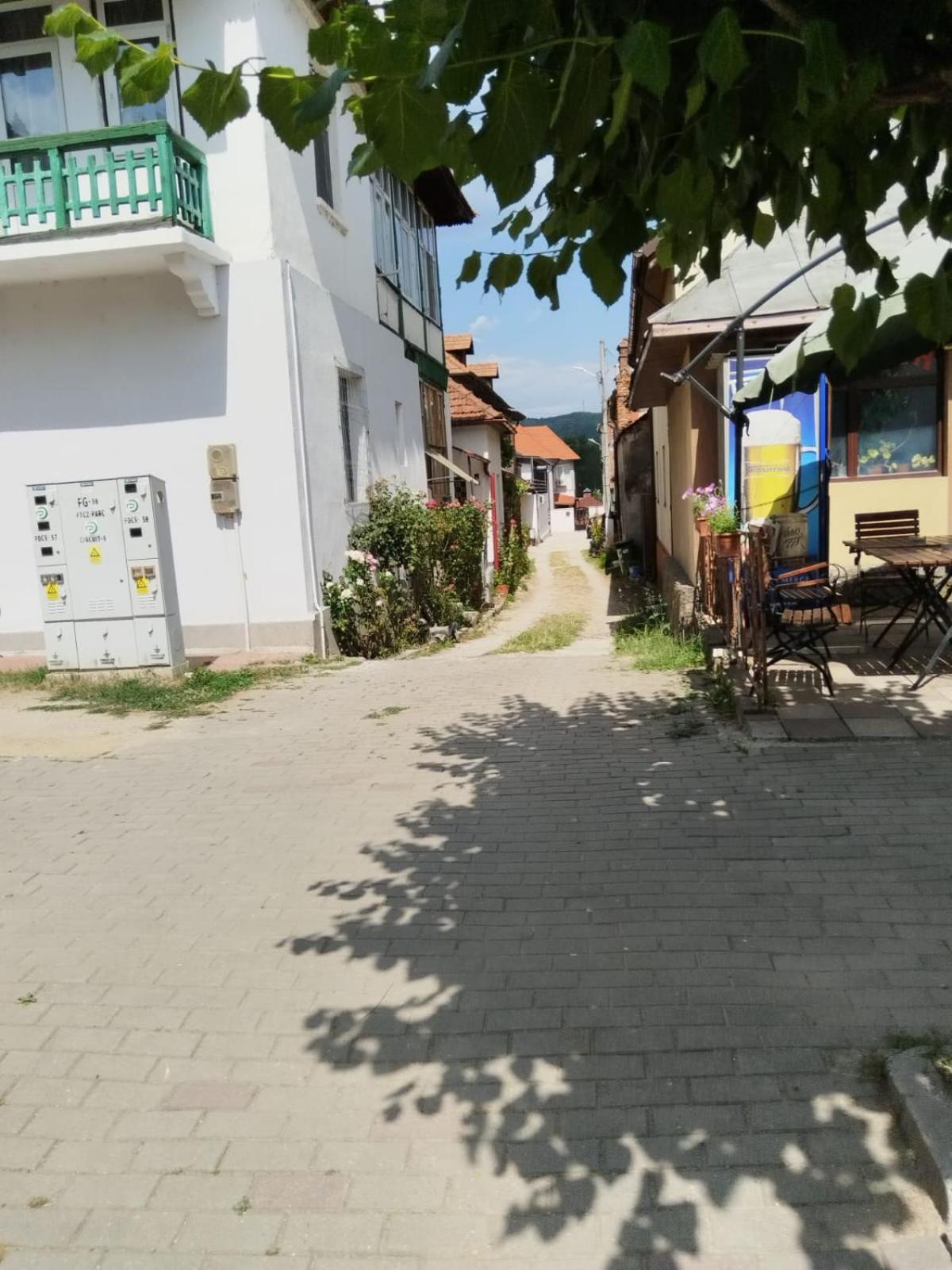 Urbanist Guest House คาลิมาเนช ภายนอก รูปภาพ